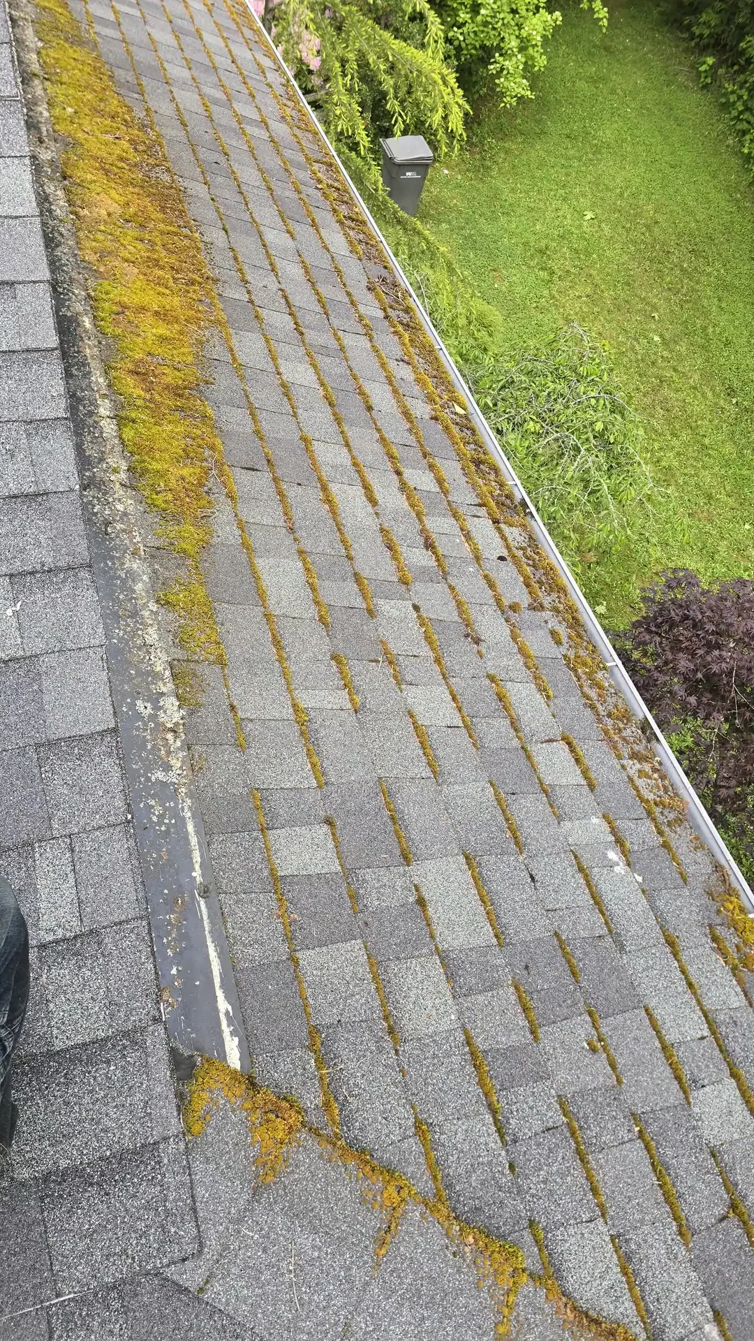 Roof cleaning project by Saratoga Home Services & Landscaping