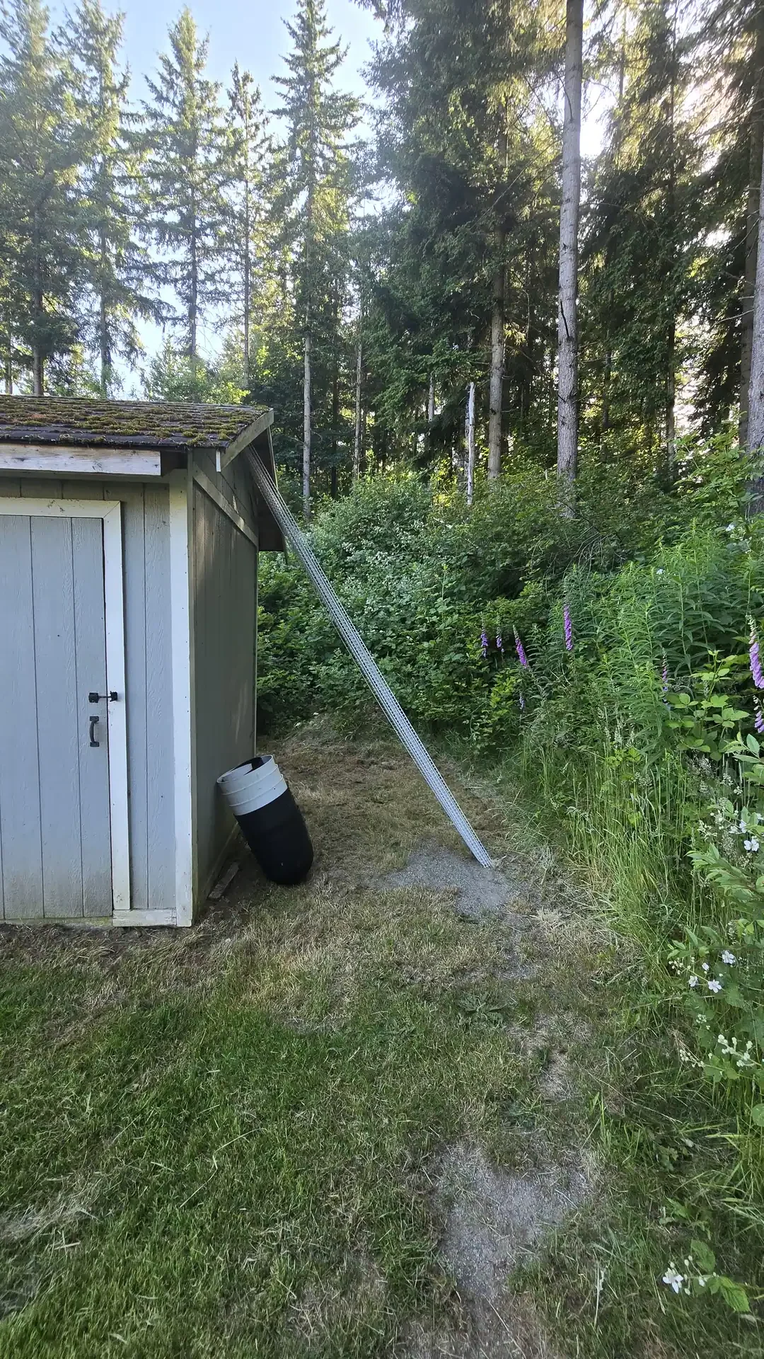 Yard cleanup project by Saratoga Home Services & Landscaping